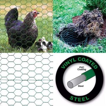 Redação hexagonal de aves de aves de arame galvanizado em malha de arame