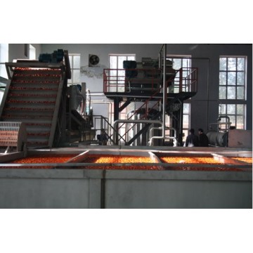 Tomato Paste (Ketchup) Production Line