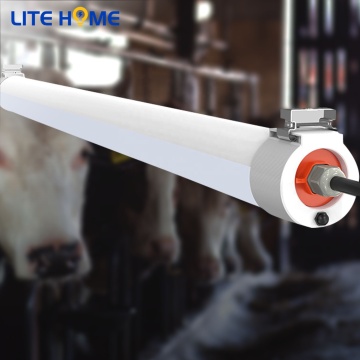 80W 6FT LED Bar Tube Tri-Proof Ceiling Light IP66 Waterproof with PC Cover