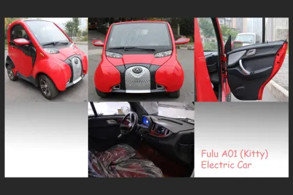 Car with Electric power