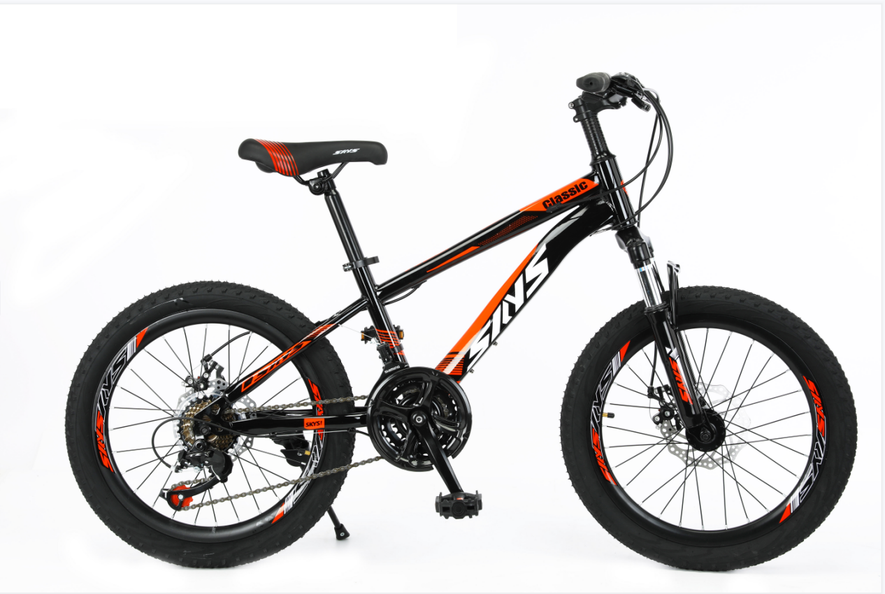 Provides Children′s Bicycles/14-18 Inch STUDENTS