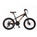 Provides Children′s Bicycles/14-18 Inch STUDENTS