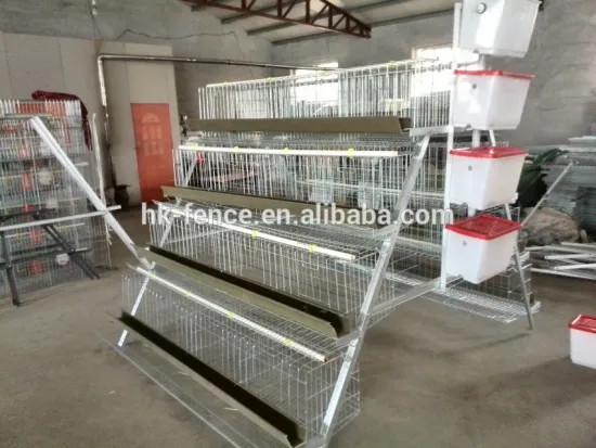 A type galvanized poultry farm design layer chicken cage