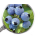 bilberry extract powder blueberry P.E enhance immune system
