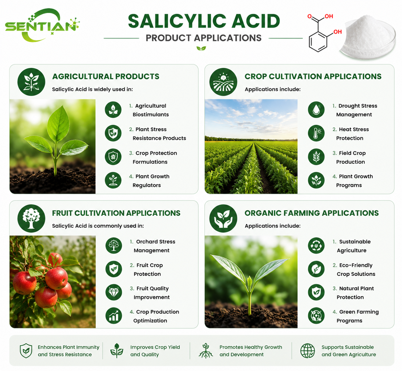 Salicylic Acid（2）