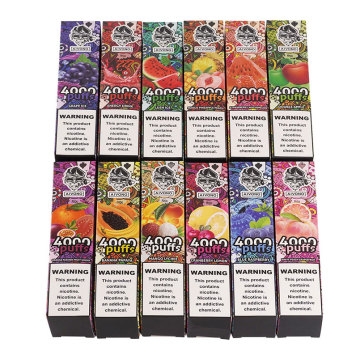 AIM BINGO Disposable Vape double apple 4000Puffs