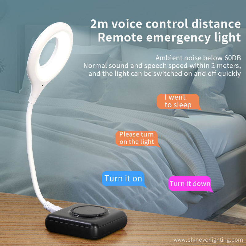 Flexible USB Portable Mini Reading Desk Night light