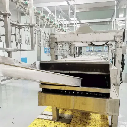 chicken slaughtering line equipment of quail plucker