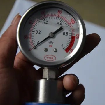 High quality international brand exact Hygienic Diaphragm Pressure Gauge