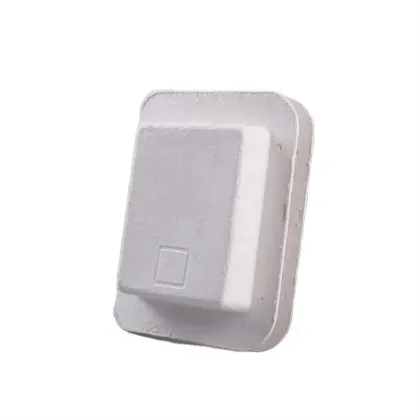 Pulp Molded Bagasse Paper Nuts Kernels Packaging Box