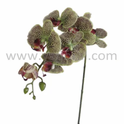 Factory directly orchid flowers price multi-color silk coated artificial orchid flowers fake orchid