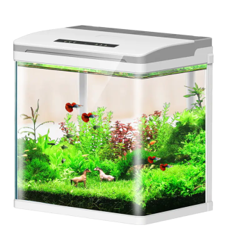 Sunsun HRX-300 Desktop Aquarium: A Compact Fish Tank with Hot-Bend Technology