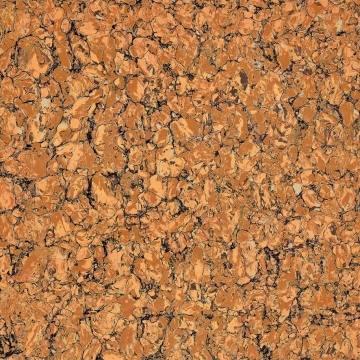 Orange Pilates Porcelain Polished Tile