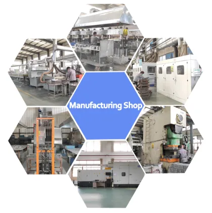 SDCX 58101-1KA00 D1447 Brake Pads for Kia Automotive Brake Systems