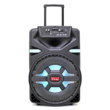Portable Trolley Battery Speaker with Microphones - Parlantes Portátiles Woofer