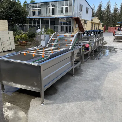 Vegetable and Fruit Cleaning Washing Machine