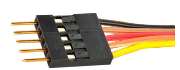 Dupont 5-Pin Male to