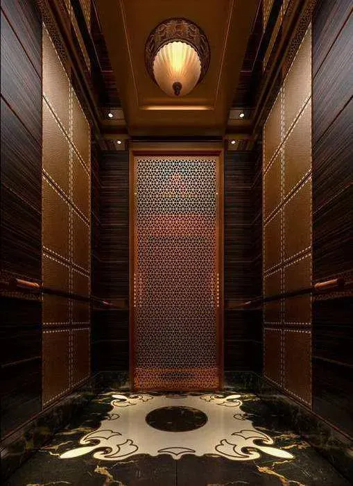 2020 Hot Sale Stainless Steel Gearless Home Lift Passenger Elevator Without Machine Room