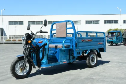 Large Capacity Multi-Purpose Electric Tricycle