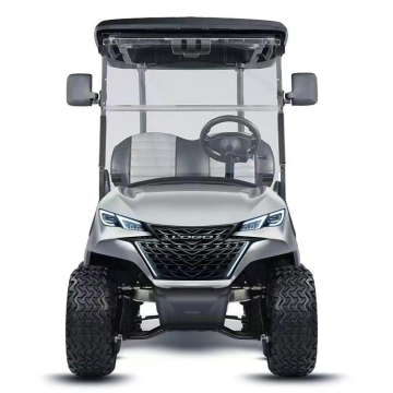 Custom 48V/72V Lithium Golf Carts and Mini Club Cars