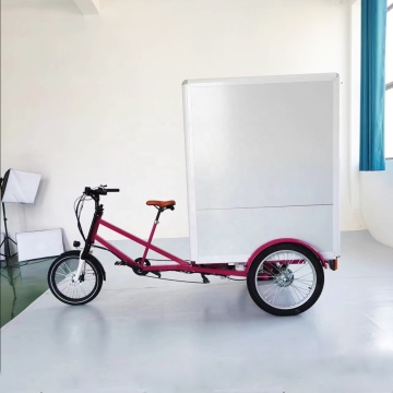 Electric Food Delivery Trike: CE & E Mark Certified Cargo Van with Closed Cabin for Express Deliveries