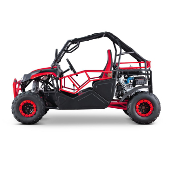 2024 Newest EGS 230CC Dune Buggy: Street Legal & Customizable Karting Car