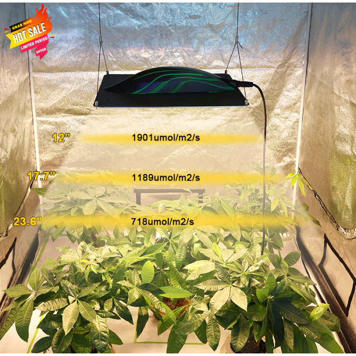 LM301B LED Grow Light Dimmable