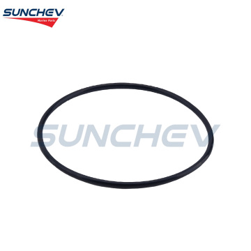 Sunchev O-Ring 313893 per Johnson 18-35 CV