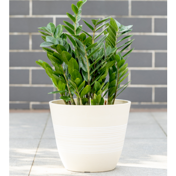 Vaso de flores decorativo com padrão gravado