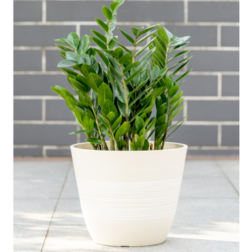 Декоративный цветочный горшок с гравировкой