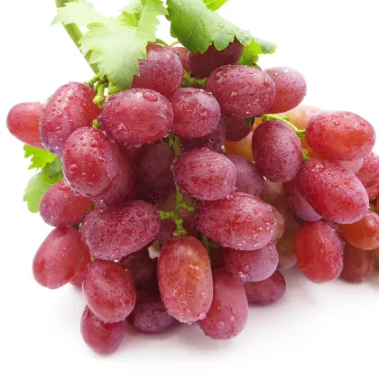 Dunhuang fresh red globe grapes high quality red globe grape strong quality red grapes for sale