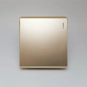UK 1 Gang 1 Way Wall Light Switch