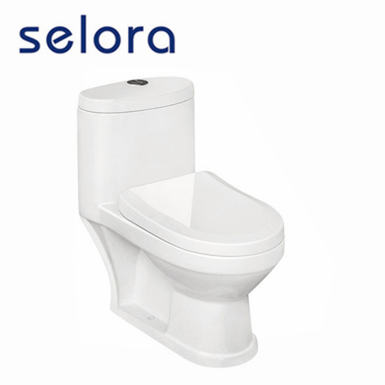 8273 1 One Piece Toilet