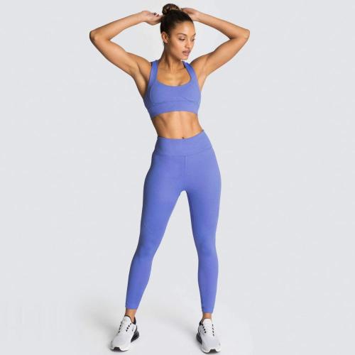 Conjunto de ioga para meninas de musculação sexy e seca