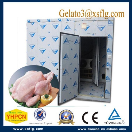 new product commercial cooler display tabletop freezer