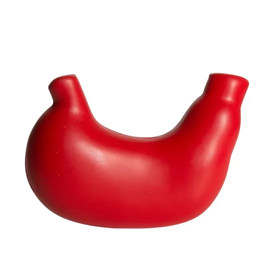 Wholesale Miniature Factory Educational Stomach Model Squishy Toy