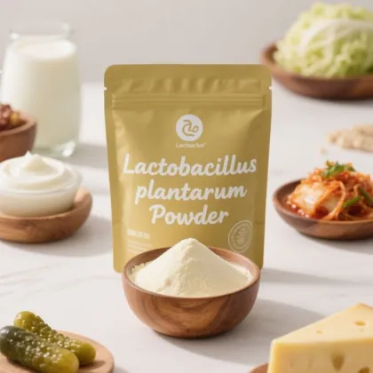 Lactobacillus Plantarum Probiotic for Athletic Performance