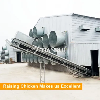 Low cost prefab chicken house steel chicken house