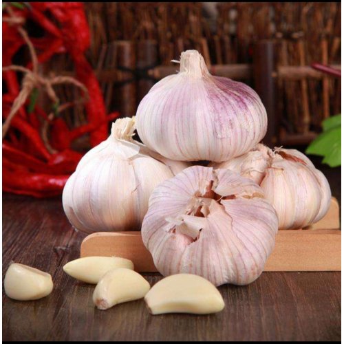 فروش داغ سیر ارگانیک محصول جدید برای سوپرمارکت