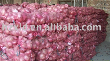 Red onion, 5-7cm up