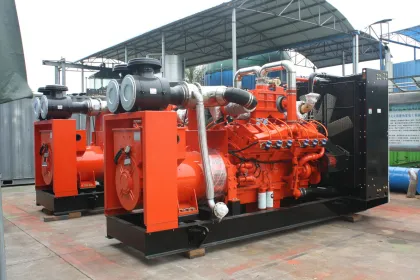 New Energy Waste Management Biogas Generator Power Plant/ Biogas Tank/ Biogas Bag/ Biogas Scrubber/ Biogas Holder/Biogas Bag