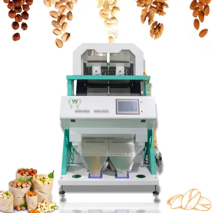 Macadamia Nut Color Sorting Machine
