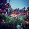 Solar Grass Globe Dandelion Lamp