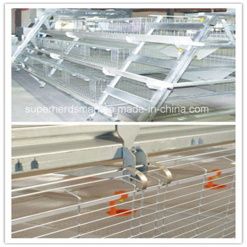 High Quality Cage System for Poutry Farm