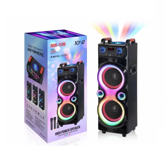 Ndr-1100 Trolley Big Sound Wireless DJ Speaker