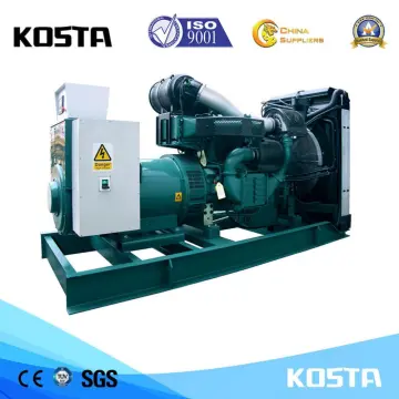 250kVA Electric Central Diesel Generator Sets for Home