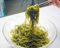 Φύκια πράσινα φύκια Kelp Noodles