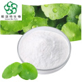 Natural Centella Asiatica Extract for Soothing Skin Solutions