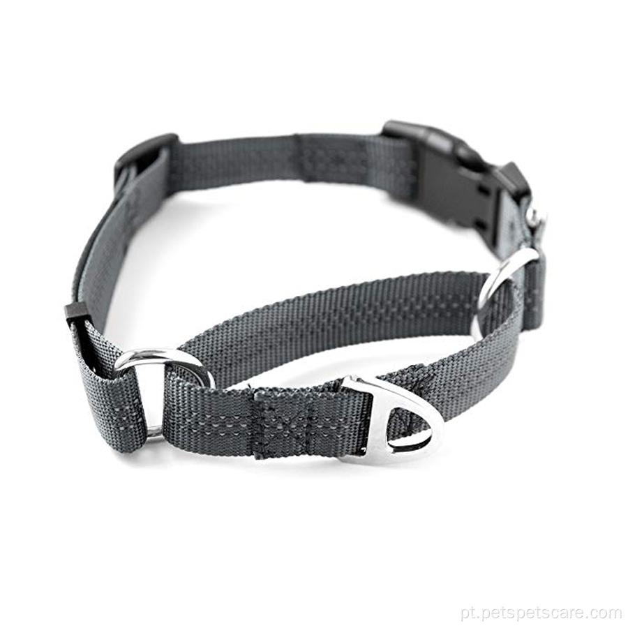 Nylon Training Pet Collar com costura reflexiva