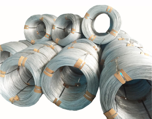 10 Gauge Galvanized Steel Wire & Hot Dipped Galvanized Steel Wire